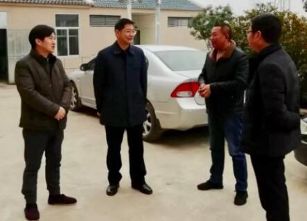 新洲区委书记赵利洪调研市科协对口帮扶点扶贫工作