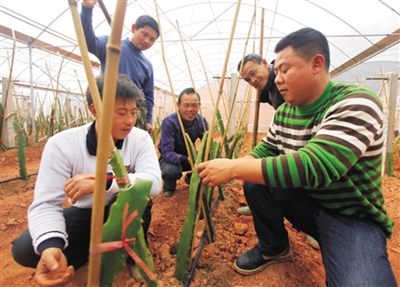 增强创业能力 助推脱贫攻坚
