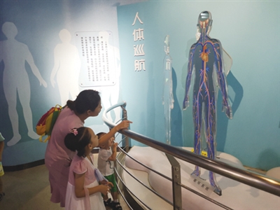 搭乘“公交” 巡航人体