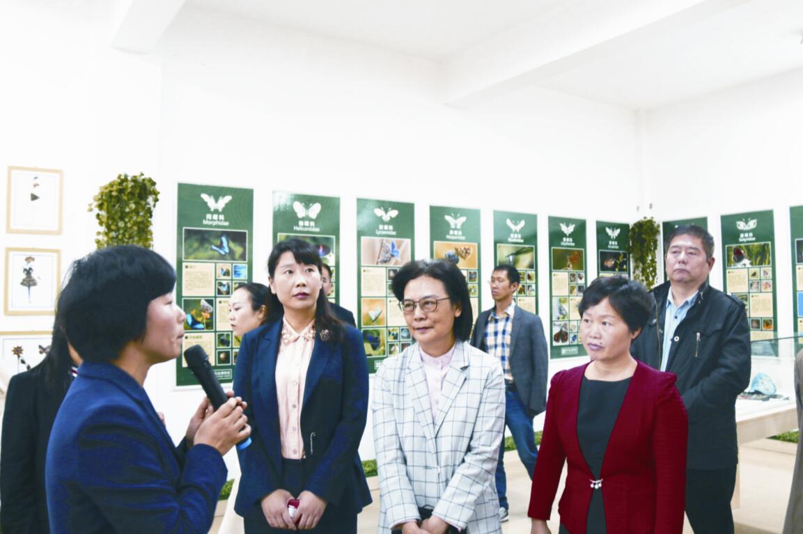彰显特色 助力乡村建设