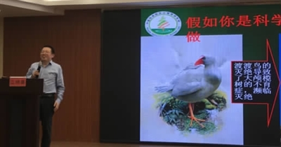 保护植物 爱护环境